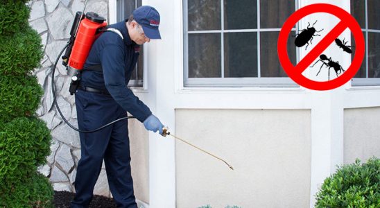 Büyükorhan Bit İlaçlama böcek ilaçlama ve haşere kontrolü — ilaclama-tr.com